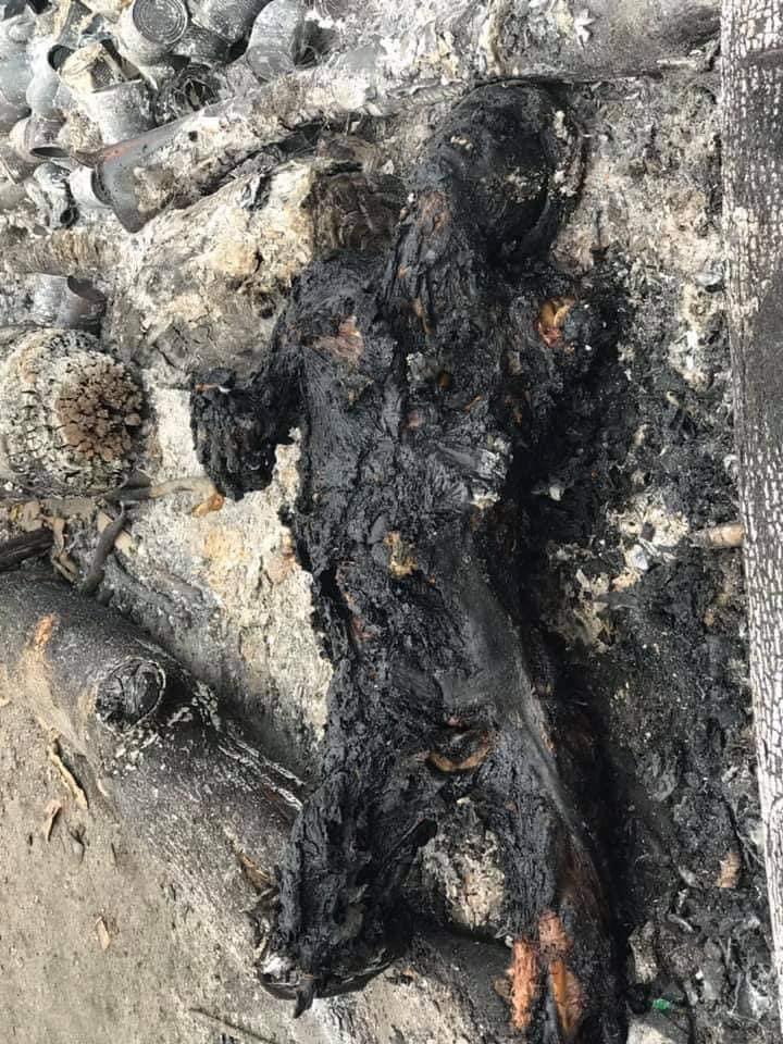 🛑A unarmed civilian, again BURNED TO DEATH ALIVE in #SouthDagon by terrorists military group😱
VERY INHUMANE ACT‼️ 
The whole military SAC should disappear from the world NOW‼️
#WhatsHappeningInMyanmar #Mar30Coup
<a href="/RapporteurUn/">UN Special Rapporteur Tom Andrews</a> <a href="/ICJ_Asia/">ICJ - Asia and the Pacific</a> <a href="/ICJ_org/">ICJ</a> <a href="/CIJ_ICJ/">CIJ_ICJ</a> <a href="/UN_HRC/">UN Human Rights Council</a> <a href="/eAsiaMediaHub/">U.S. Asia Pacific Media Hub</a>