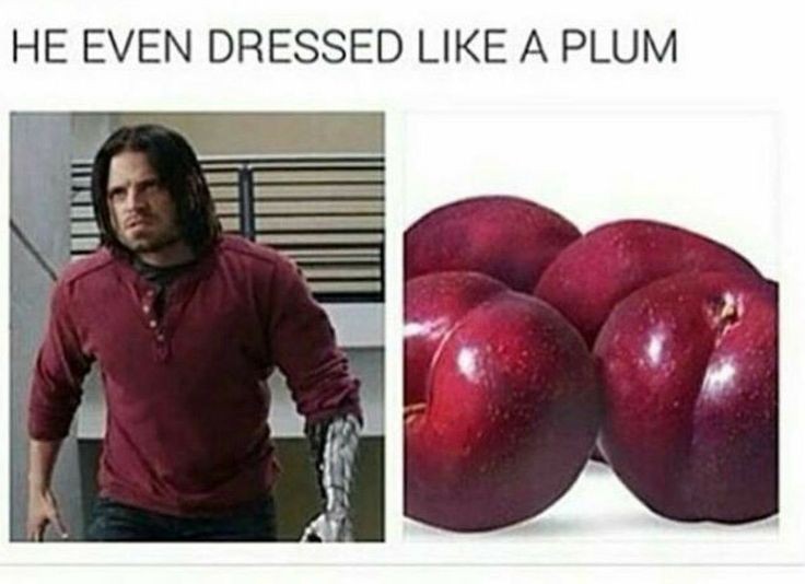 DHades88's tweet photo. Meme su #Bucky e #LABRUGNA che ho trovato su Pinterest alle 5 del mattino - A thread ✨ https://t.co/VoJiC1j9B0
