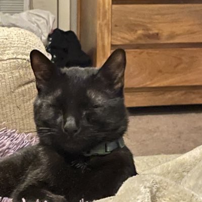 goob_22's tweet photo. #NewProfilePic https://t.co/bbWY1GLoN2