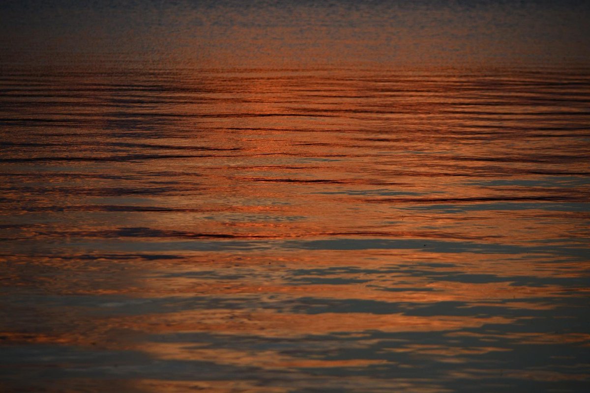 Haden_Terry15's tweet photo. Sunset Chasinโ ๐
#LivingForMore https://t.co/e8wFtgf6Wf