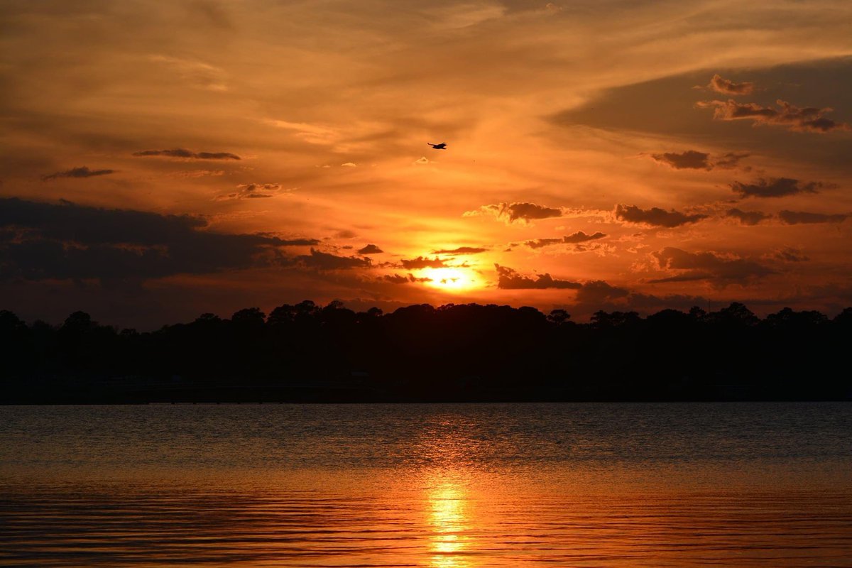 Haden_Terry15's tweet photo. Sunset Chasinโ ๐
#LivingForMore https://t.co/e8wFtgf6Wf