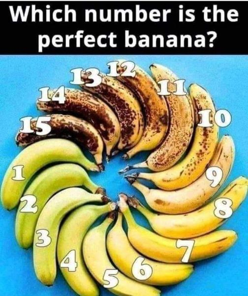 PamelaApostolo1's tweet photo. I say #7...what say you??? https://t.co/xFs2vhYHIa