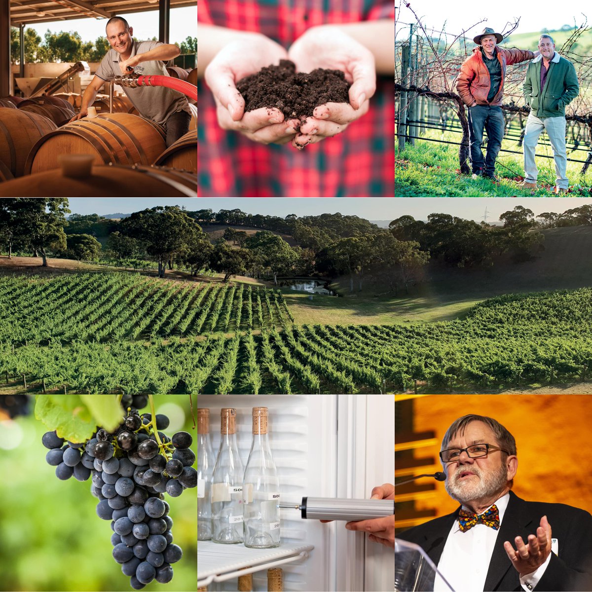 Autumn 2021 issue of the Wine &amp; Viticulture Journal online now!

Subscribe and read it today at ow.ly/VOTh50EbP1V