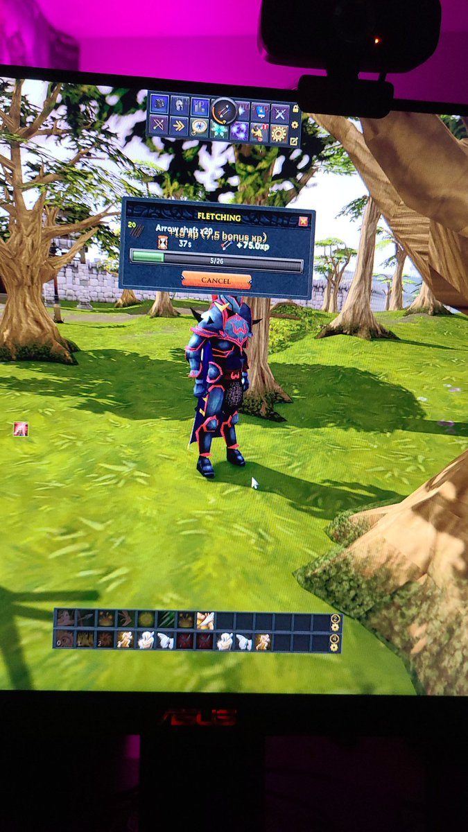 SouseiSol's tweet photo. Time to get that skill cape #RuneScape https://t.co/KgS79TmnNz