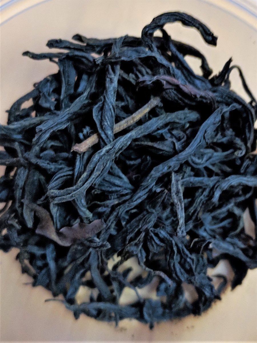 jennifernowicki's tweet photo. Thanks for the kind words! ★★★★★ "Second time getting this tea. Very tasty in my opinion. Highly recommend." RLV9090 https://t.co/UTgmpbp7kb #etsy #black #purple #limitedquantity #looseleaftea #purpletea #wildtea #barrelagedrum #ancientvarietal #raretea https://t.co/vDLO6zTkng