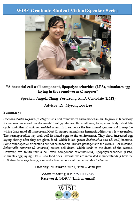 Don't miss our seminar today at 3:30!