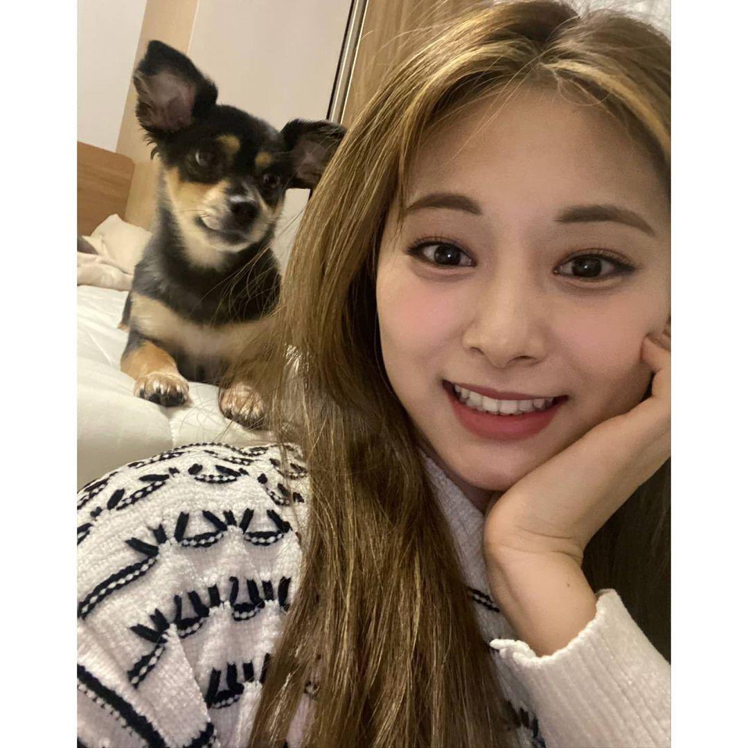 Twice 画像まとめ Twitterで話題の最新画像 リアルタイム更新中 Twice 画像まとめ Twitterで話題の最新画像 リアルタイム更新中
