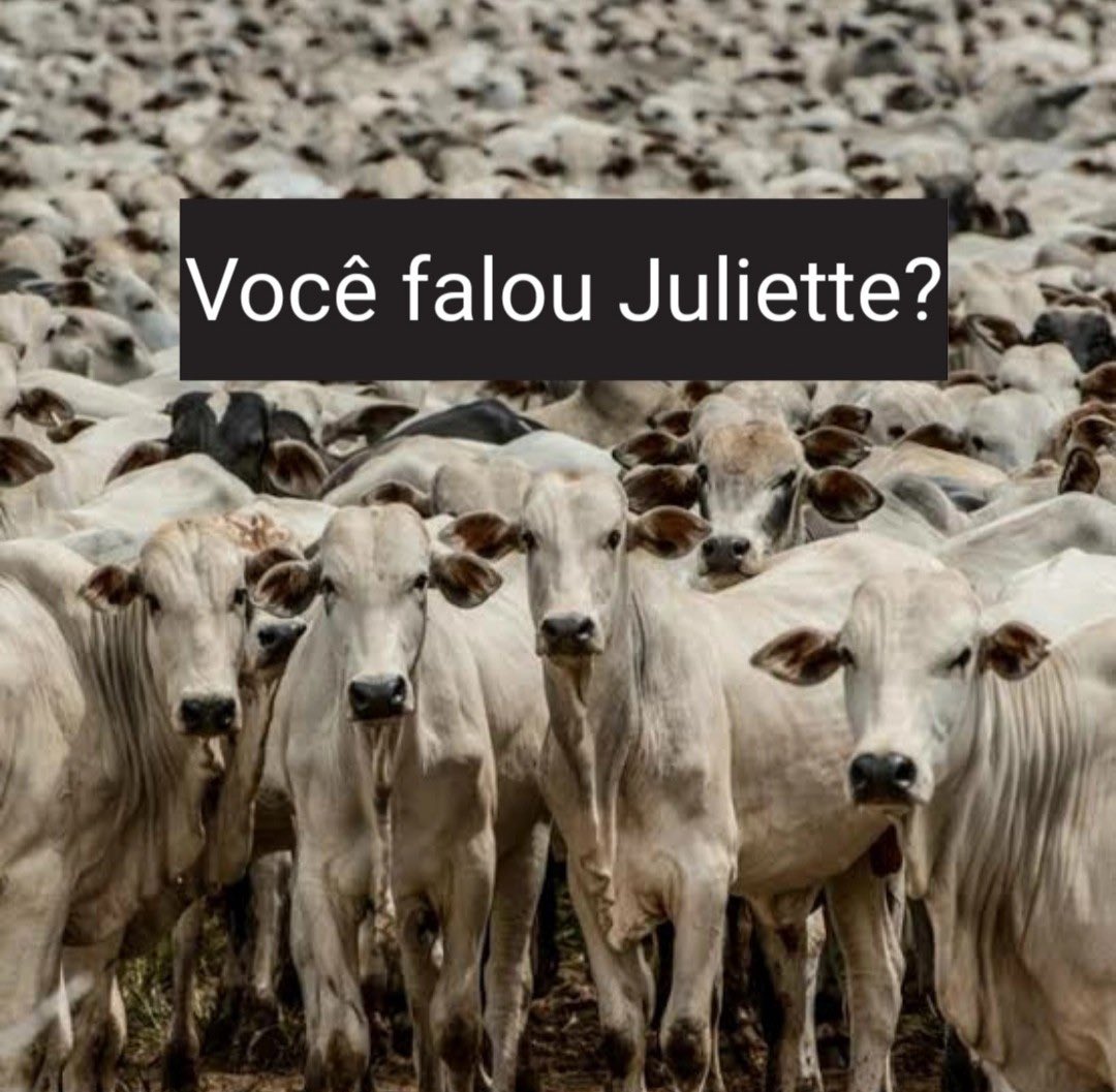 O twitter virou isso 👇🏾👇🏾👇🏾👇🏾