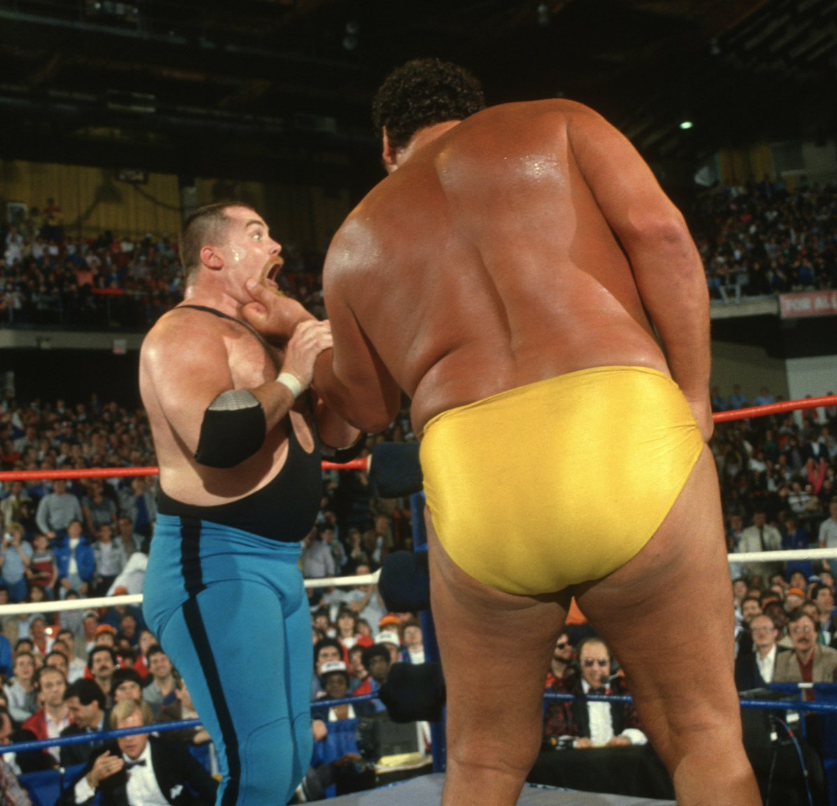 NatbyNature's tweet photo. I love this shot. My dad and Andre were close friends. Andre fought for my dad and @BretHart to be the last two in the battle royal at #WrestleMania2. My dad said this was one of his most special moments in @wwe. https://t.co/3WY0hKADqO
