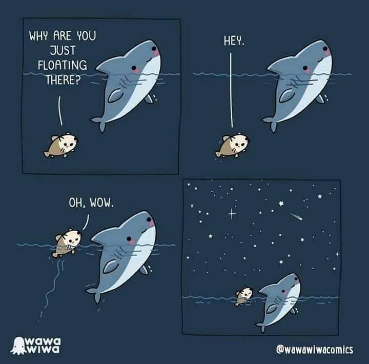 moonythinks's tweet photo. Are you an introvert?
Memes and comics are a fun way to break the ice.

We all float along the same Milky way ⭐️ https://t.co/H3kj84tldp