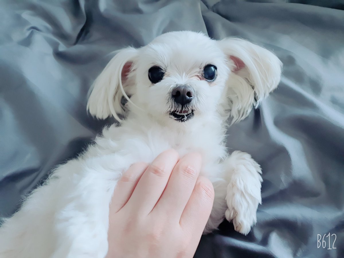 🕯담설기🕯️ tweet media