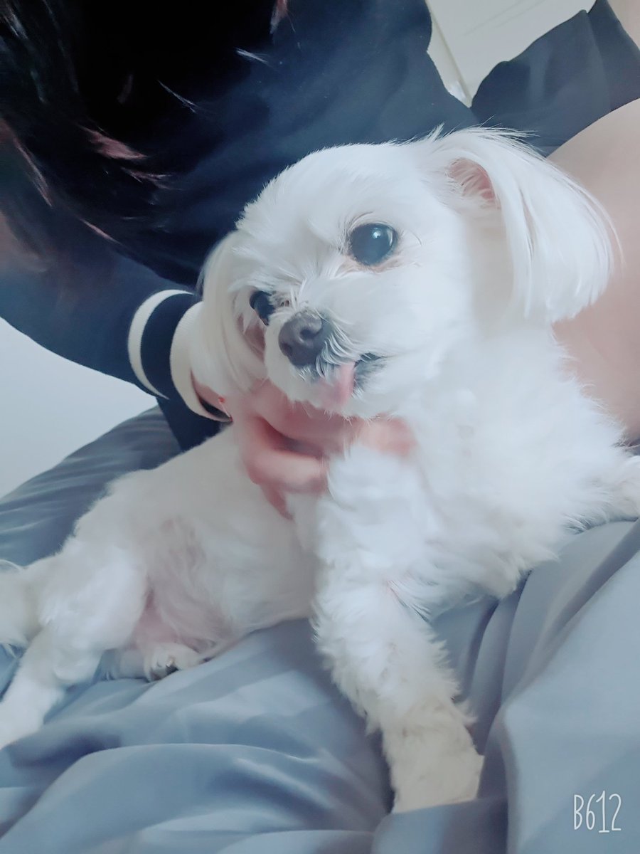 🕯담설기🕯️ tweet media