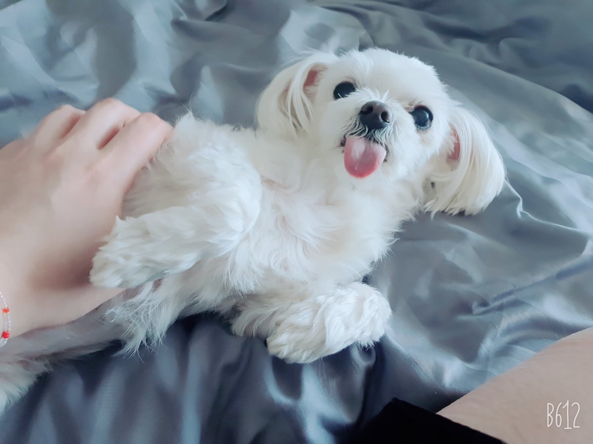 🕯담설기🕯️ tweet media