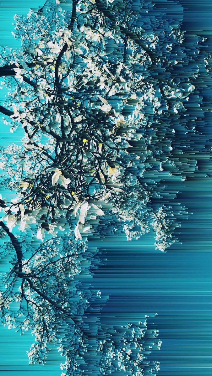 peeanopijloo's tweet photo. 'Magnolia' by @peeanopijloo
#photography #naturephotography #digitalillustration #marchArt #springdigital #abstract #glitchlab #pixelsorting #art #spring #peeano #otherworld #love #digitalmagnolia #magnolia #transformation #pixelsorting #pixelphotography #blue #newNature #trees https://t.co/OhnLzb0saF