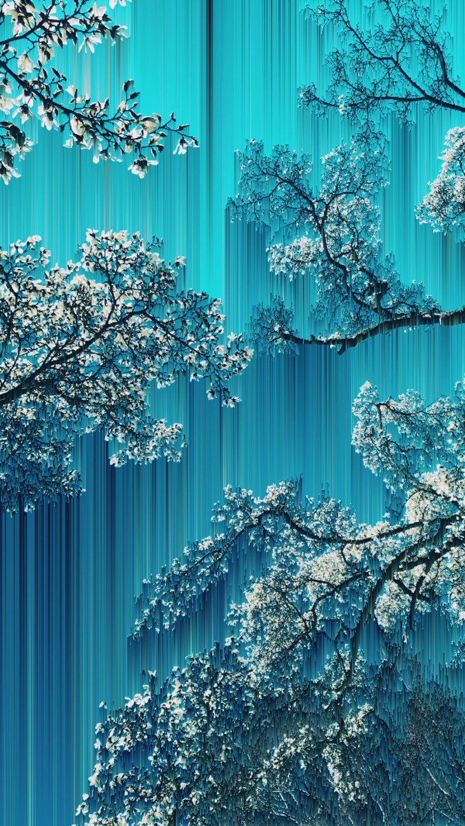 peeanopijloo's tweet photo. 'Magnolia' by @peeanopijloo
#photography #naturephotography #digitalillustration #marchArt #springdigital #abstract #glitchlab #pixelsorting #art #spring #peeano #otherworld #love #digitalmagnolia #magnolia #transformation #pixelsorting #pixelphotography #blue #newNature #trees https://t.co/OhnLzb0saF