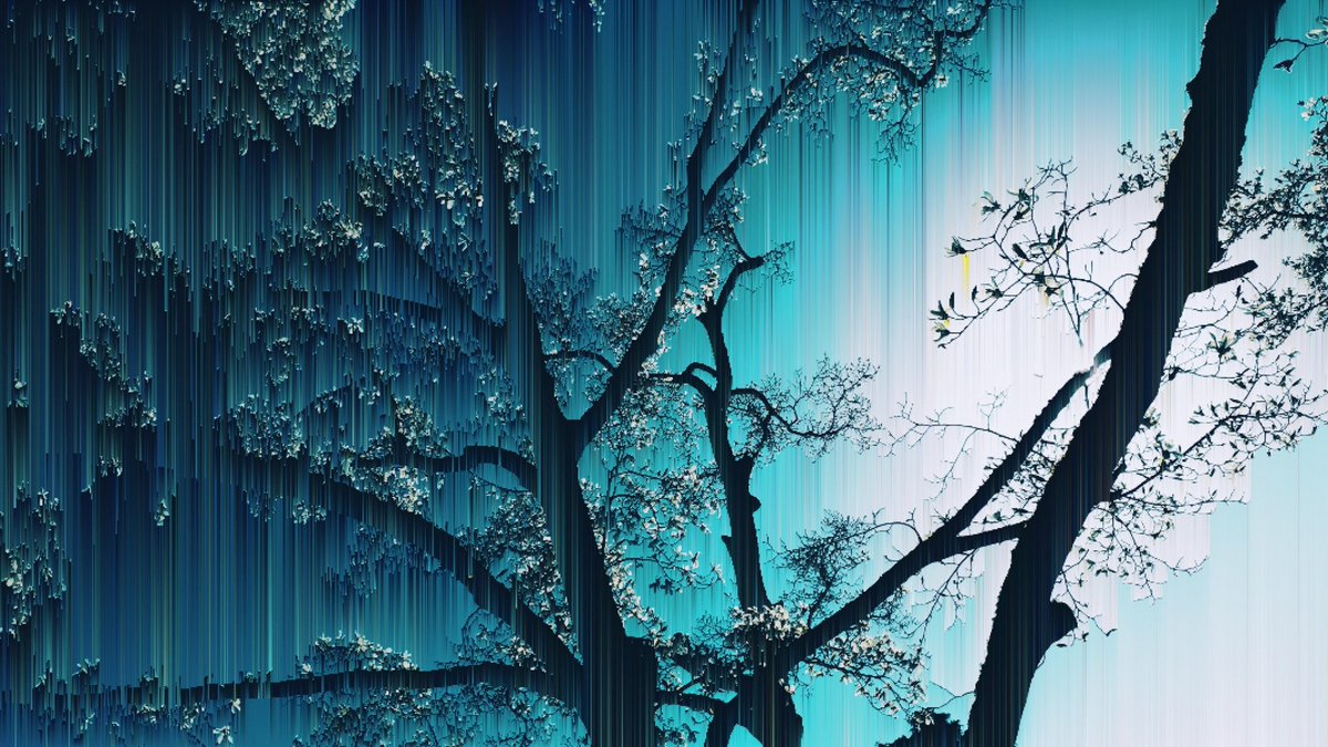 peeanopijloo's tweet photo. 'Magnolia' by @peeanopijloo
#photography #naturephotography #digitalillustration #marchArt #springdigital #abstract #glitchlab #pixelsorting #art #spring #peeano #otherworld #love #digitalmagnolia #magnolia #transformation #pixelsorting #pixelphotography #blue #newNature #trees https://t.co/OhnLzb0saF