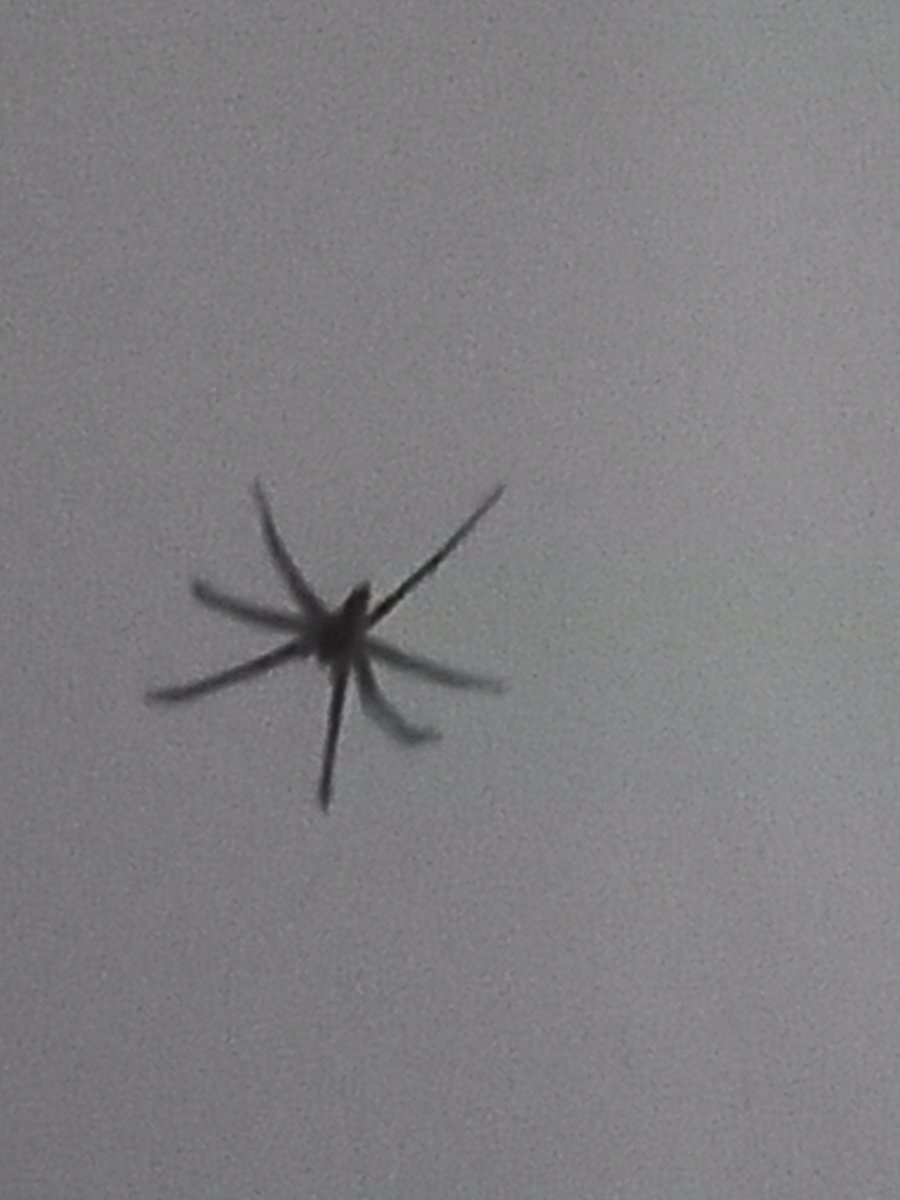 Look at this big ass mf trynna murder me in my room