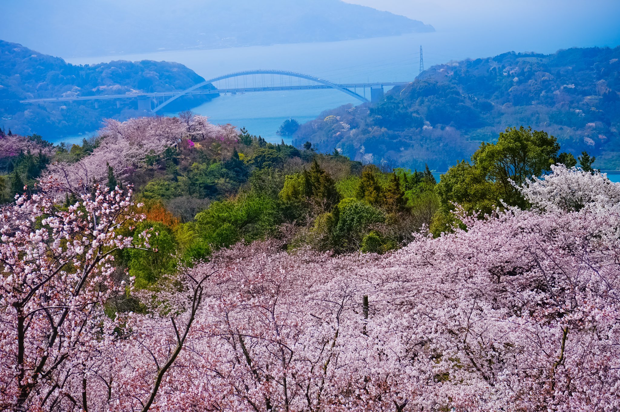 開山公園 Twitter Search Twitter