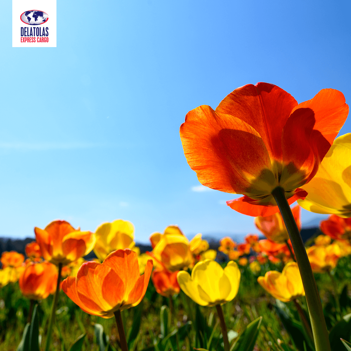 #April 🌳🌻
Η ομάδα μας σας εύχεται καλό μήνα! 
#Delatolas