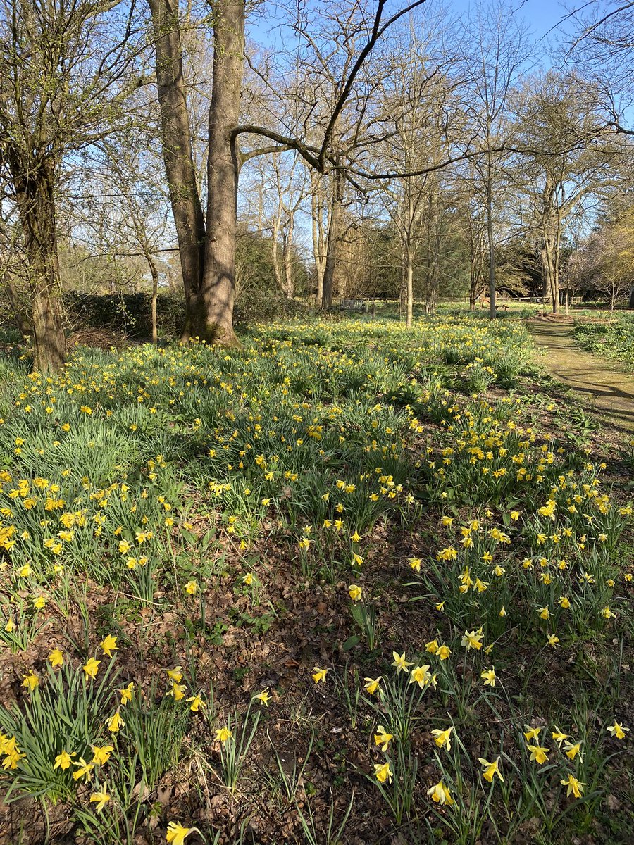 GuthrieCaroline's tweet photo. @ArtyBagger today’s meander at work #easingoflockdown https://t.co/TxnXAkhwta