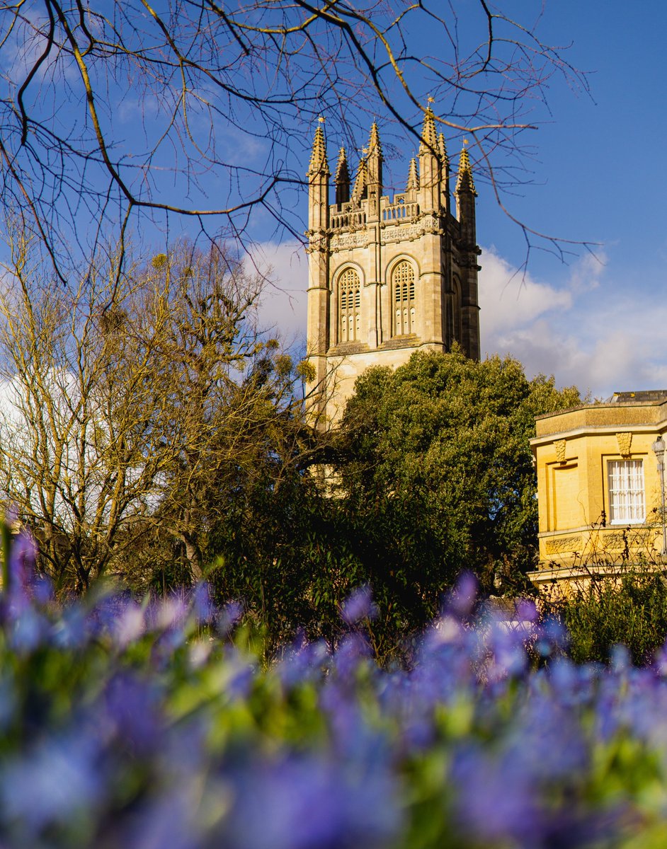 🌺 Lovely spring days in Oxford, can you recognise the college in the background?

📸 @hysandylop (IG)  

#dreamoxfordshire