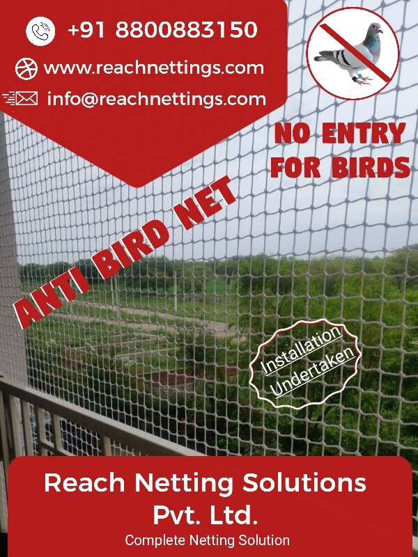 Pigeon Net | Bird Net -----

Reach Netting Solutio..For more info visit...locations.reachnettings.com/latest-update/…