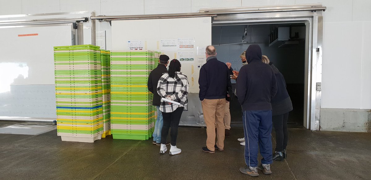 Delphinetyr's tweet photo. EmploiMaritime 2021 #AvecPôleEmploi #Bayeux @CalvadosDep @CCICaen ⚓ Autour du port : la halle à marée, les activités et les métiers de la criée avec C. Van Roye DG @Copeport ! https://t.co/AMILasWvMN