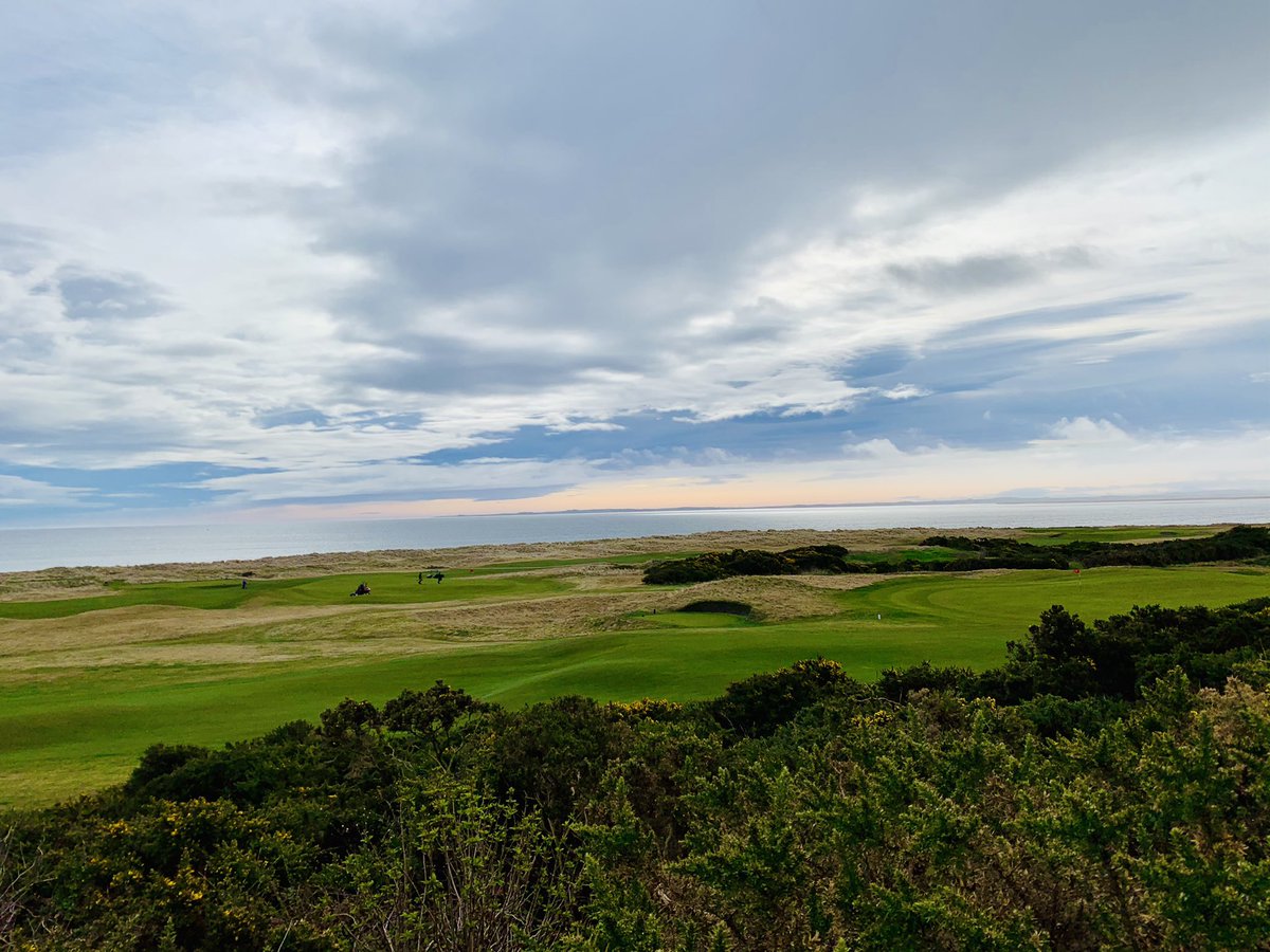 mackay_carol's tweet photo. @RoyalDornochGC looking 👌🏻on my walk this morning... https://t.co/CVVemrufwC