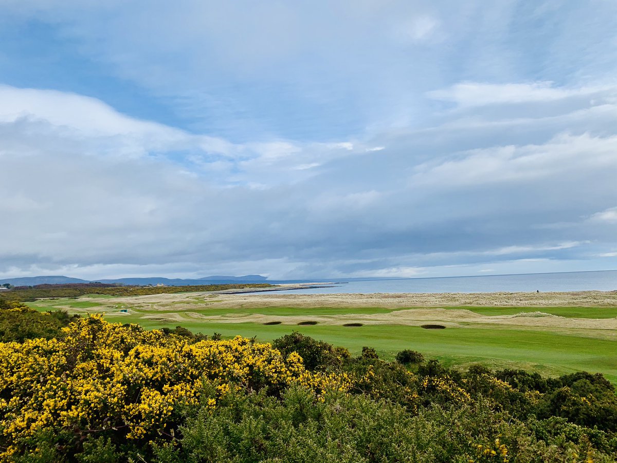 mackay_carol's tweet photo. @RoyalDornochGC looking 👌🏻on my walk this morning... https://t.co/CVVemrufwC