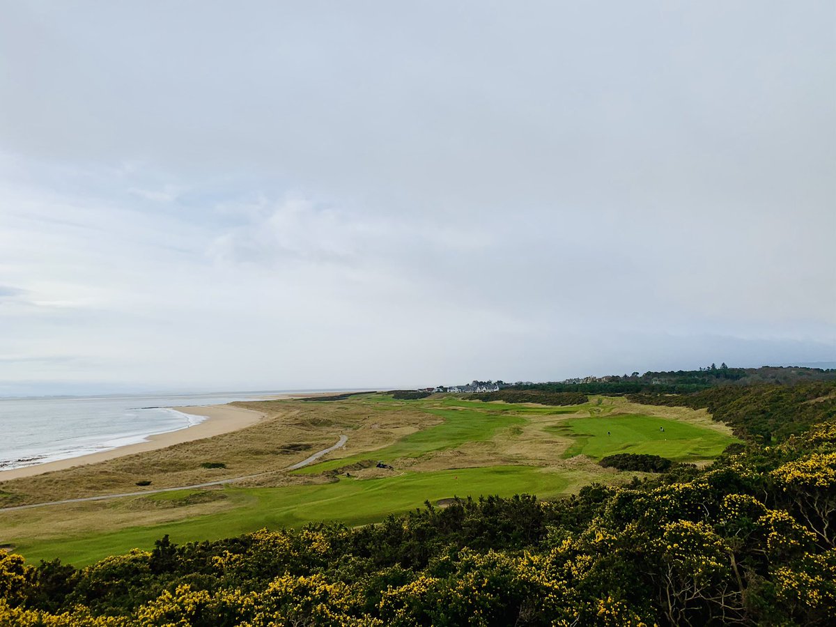 mackay_carol's tweet photo. @RoyalDornochGC looking 👌🏻on my walk this morning... https://t.co/CVVemrufwC