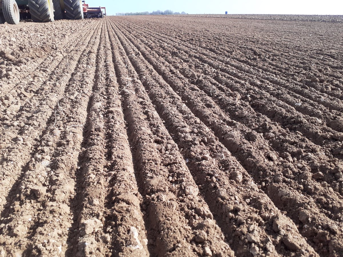 ArnouxGuy's tweet photo. Préparation pour les cultures de printemps avec se beau soleil @FrancoisArnoux @JollyUlysse @CAVAC_ @beApi_Coop @agpm_mais https://t.co/fGd72Avpxc