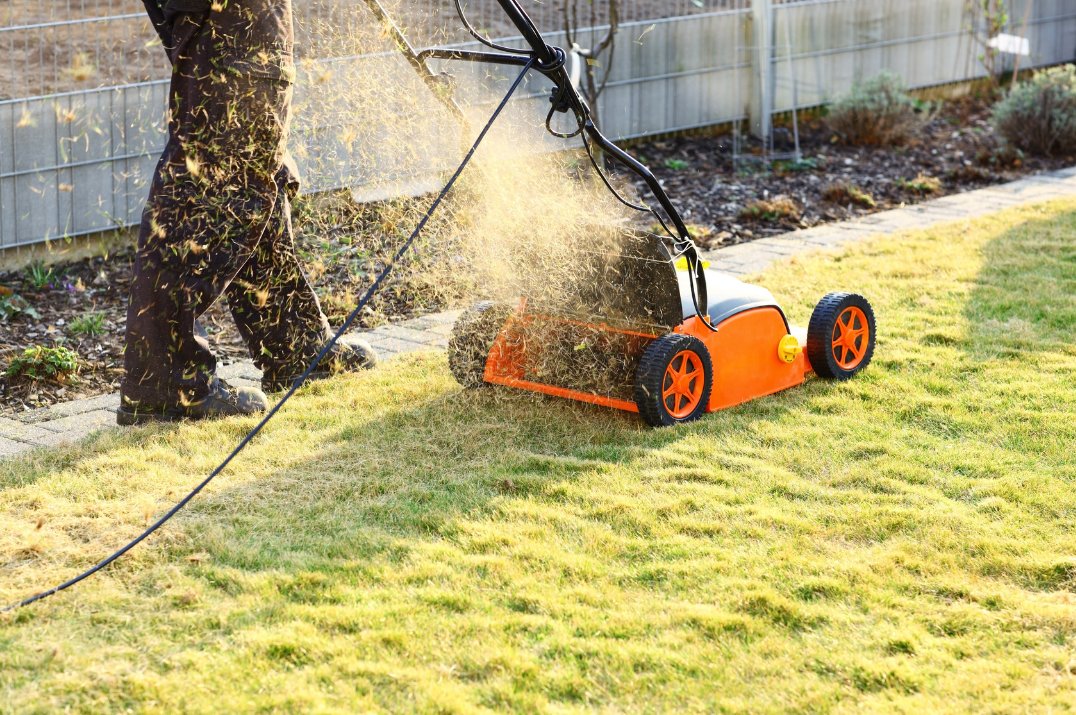 LawnAssociation's tweet image. If you do need to #scarify, #aerating first means that the #scarifier will then return nicely loosened soil back into the #lawn. We ALWAYS overlook the value of our #soil, full of essential #microbes &amp;amp; #nutrients. Any chance to retain it has to be good! 
#LawnAssociation