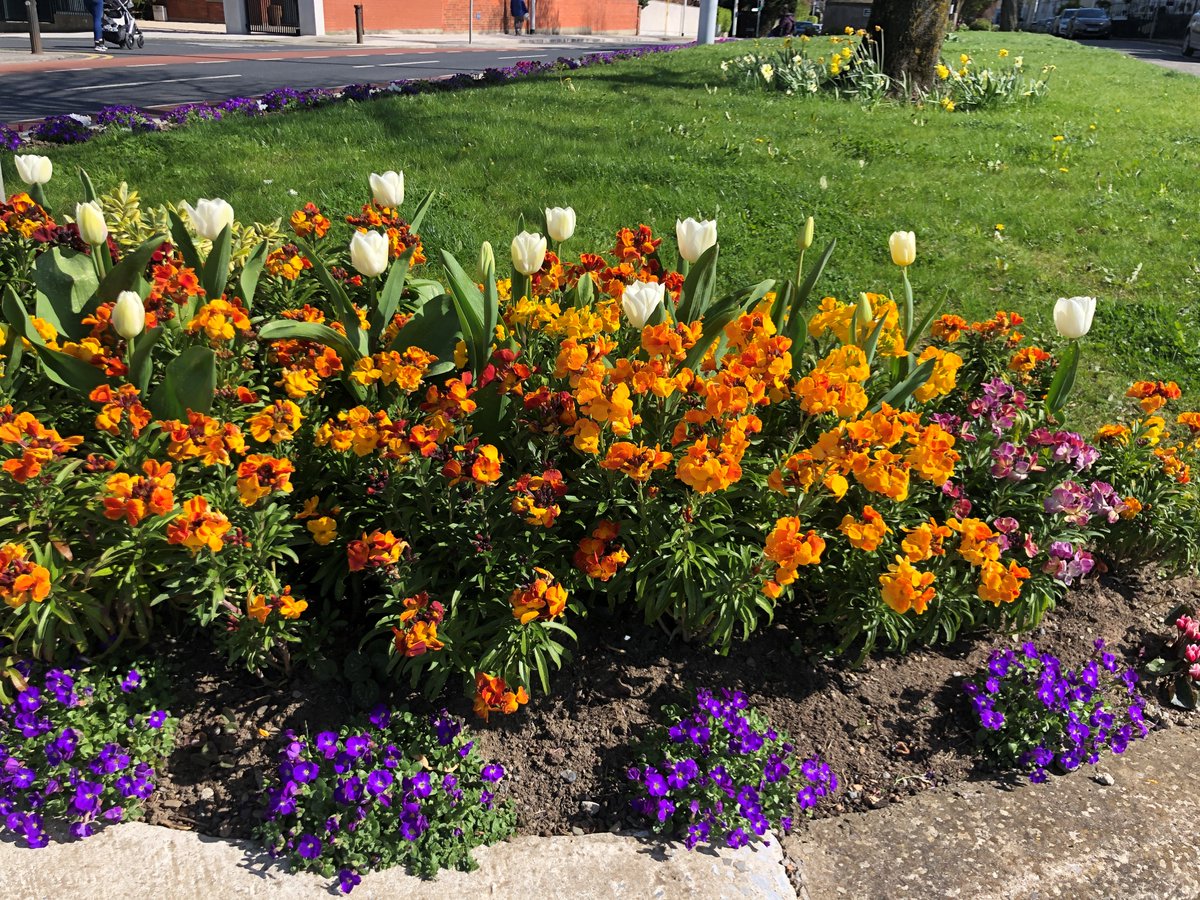 Monkstown Village Tidy District #FanSlán #StayHome tweet media