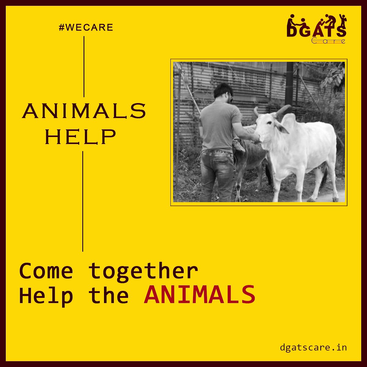 dgatscare's tweet photo. #animalshelp #animals #animallovers #cow #wecare #dgatscare #help #ngo #india #delhi #noida #instagram 

@PMOIndia @yadavakhilesh @myogiadityanath @AamAadmiParty @aajtak @ndtvindia @ndtv @TheLallantop https://t.co/bV2RoxCDIL