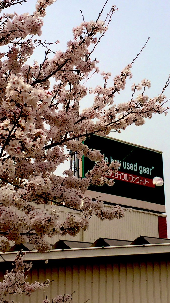 ハードオフ橿原店 公式 Hard Kashihara Twitter