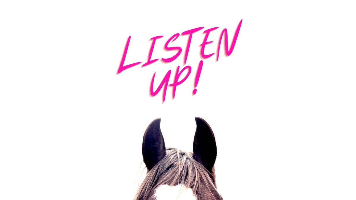 GollyGaloshes's tweet image. Our Winter Sale Has Up To 35% Off On Selected Lines!
🛍️ bit.ly/2ey8KdH
#horsesale #equestriansales