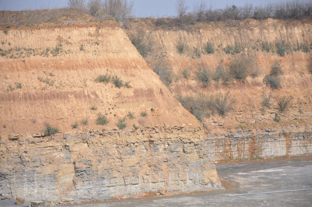 SFB806_CRC806's tweet photo. Wanna learn more about #loess deposits in southwestern Germany? Have a look at the beautiful #Talheim sequence and check out the paper #TeamLoess #CRC806_D1 https://t.co/VjBHdgS6me https://t.co/iX6lHUnVpZ
