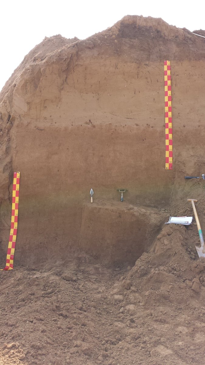 SFB806_CRC806's tweet photo. Wanna learn more about #loess deposits in southwestern Germany? Have a look at the beautiful #Talheim sequence and check out the paper #TeamLoess #CRC806_D1 https://t.co/VjBHdgS6me https://t.co/iX6lHUnVpZ
