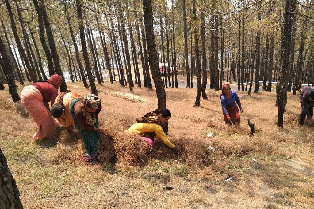 down2earthindia's tweet photo. Forests under indigenous communities more protected, says new report https://t.co/dkAPYXgCT5 https://t.co/QDVJScFeZV