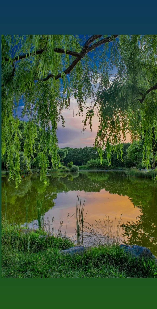 Bursa Botanik Park