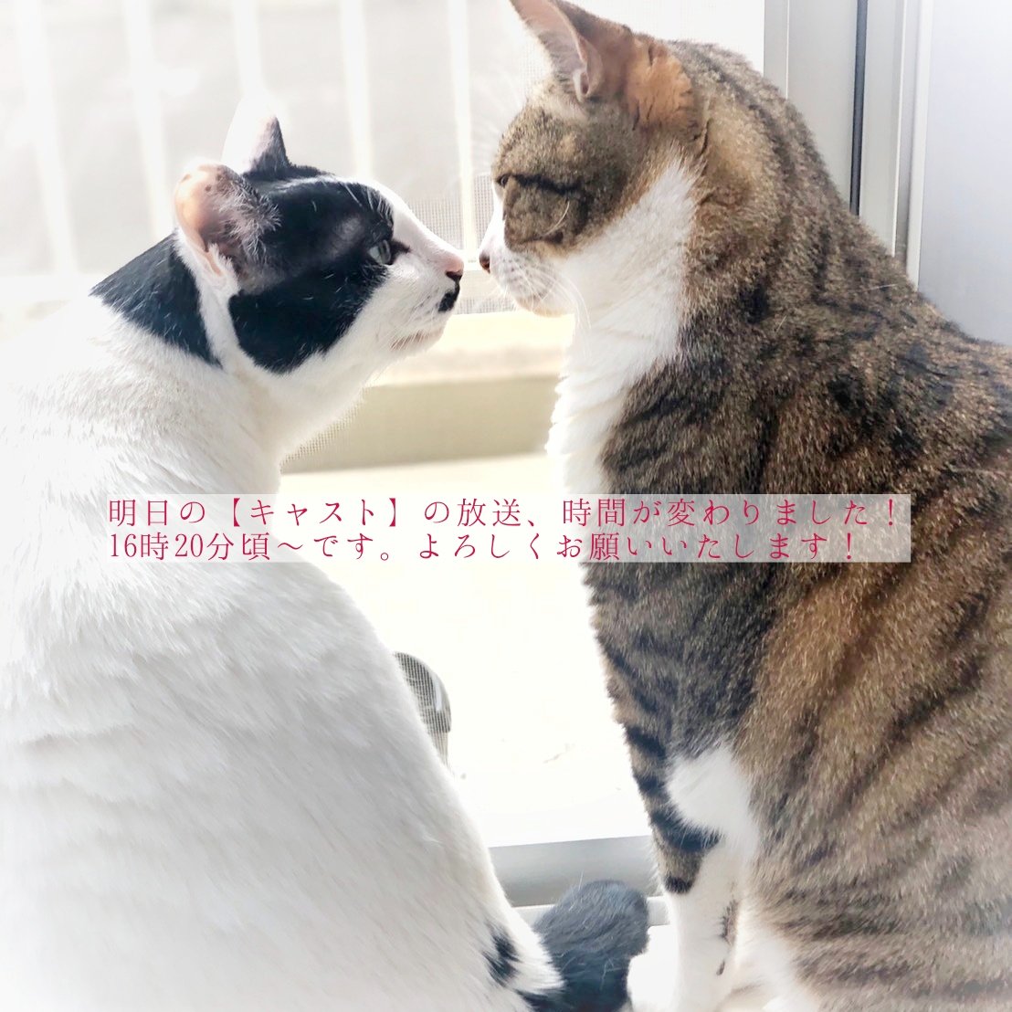 京都 佐々木酒造株式会社 放送時間変更 ａｂｃテレビ朝日放送 キャスト Cast 京を継ぐ 美と心 16時分頃 放送 特集 豊かな水の上で Do You Kyotoネットワークメンバー 佐々木晃 事前にお知らせした時間 より50分程繰り上がるそうです ご