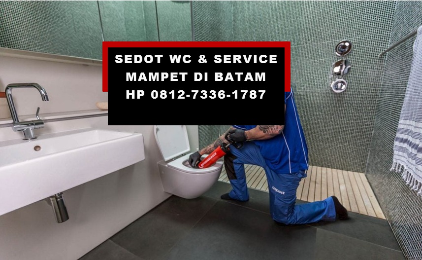 0812-7336-1787 Info No Handphone Tukang Sedot WC di Batam

arsitekbatam.blogspot.com/2021/03/0812-7…

#Punggur #Nagoya #SedotWCBatam #SedotTinjaBatam #SedotSeptictankBatam #SedotMampetBatam #SedotLimbahBatam #ServisMampetBatam #Batam #Barelang #HRSantiTeroris #RedmiNote10 #aespa
#StopAsianHate