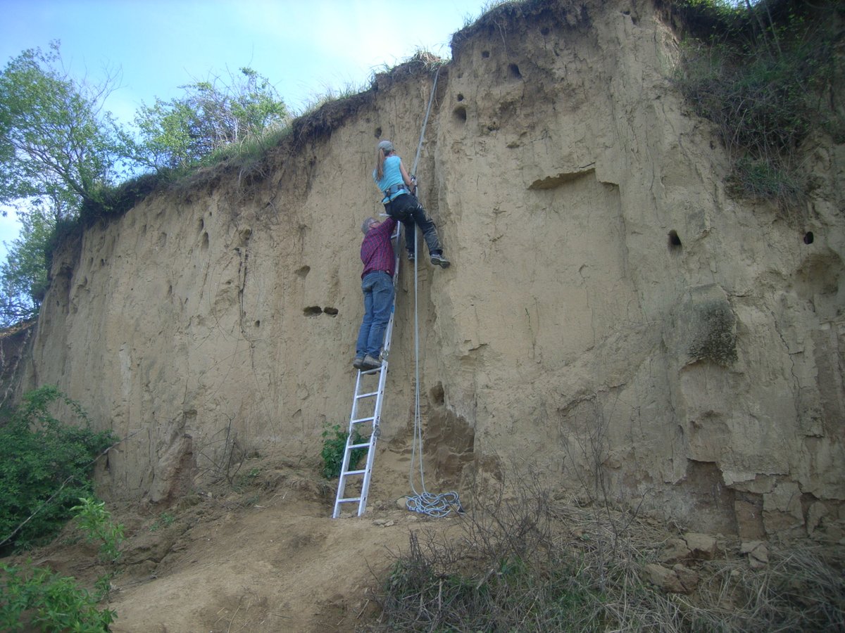 SFB806_CRC806's tweet photo. #ThowbackTuesday: 7 yrs ago, #B1 started the 2nd project phase with a 6 week fieldtrip to Hungary, Serbia and Romania to hunt for loess and archeology. It involved loess, mud (aka liquid loess), excavation in trash, wine, artifacts, and the collection of thousands of samples! https://t.co/AAAUFfAU8W
