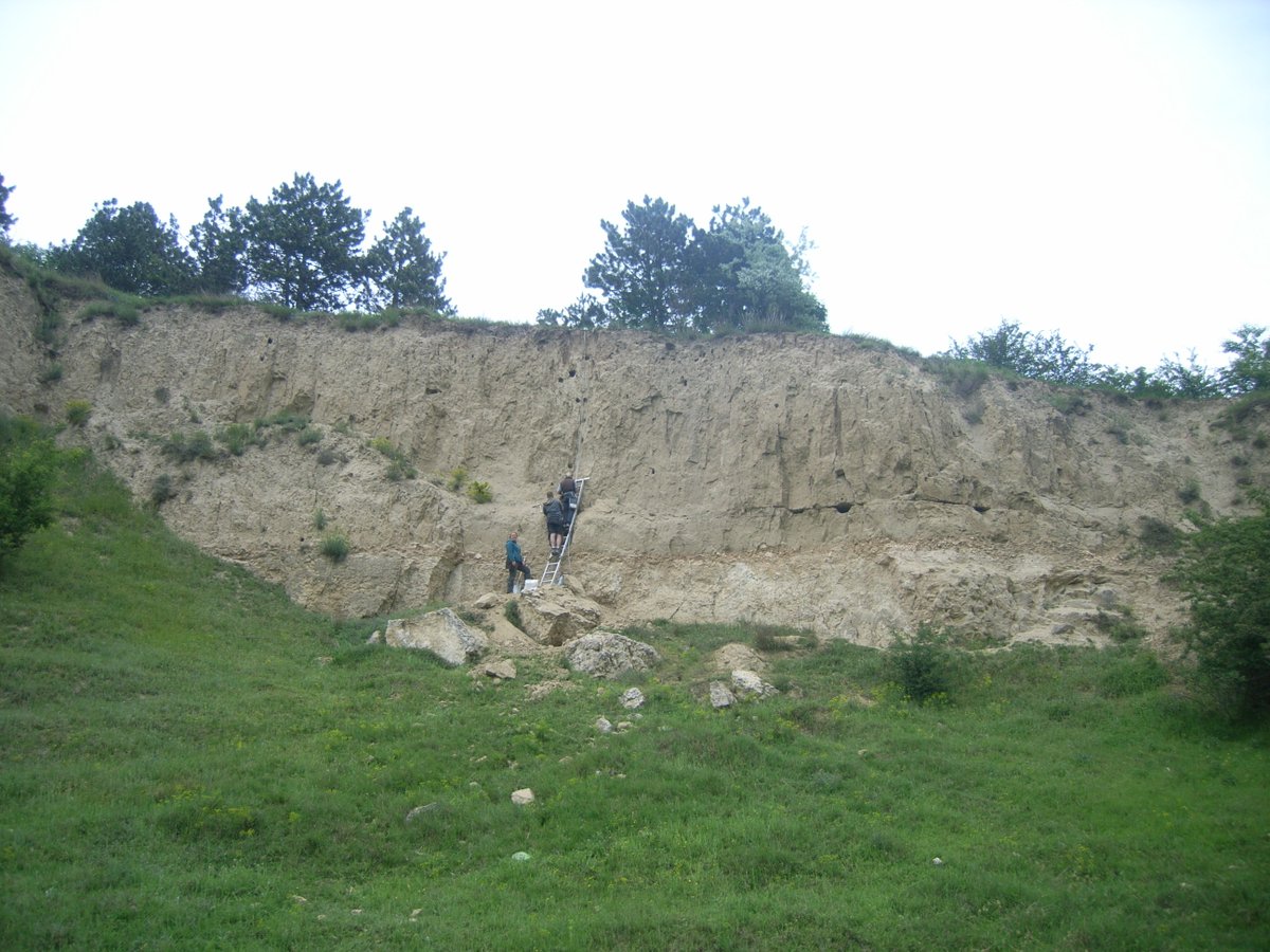 SFB806_CRC806's tweet photo. #ThowbackTuesday: 7 yrs ago, #B1 started the 2nd project phase with a 6 week fieldtrip to Hungary, Serbia and Romania to hunt for loess and archeology. It involved loess, mud (aka liquid loess), excavation in trash, wine, artifacts, and the collection of thousands of samples! https://t.co/AAAUFfAU8W