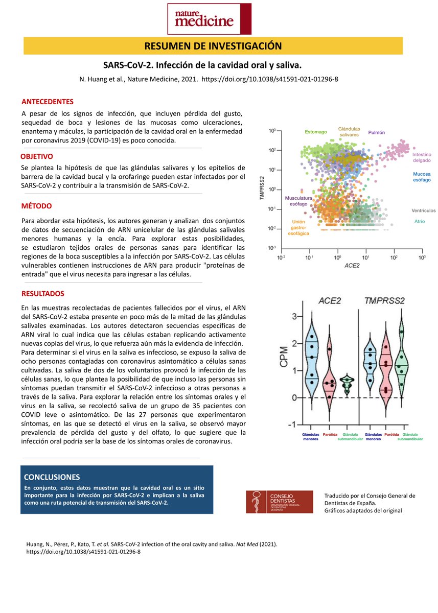 CNSJ_Dentistas's tweet photo. 📄 Resumen de investigación: SARS-CoV-2. Infección de la cavidad oral y saliva, publicado por Nature Medicine.

Traducido por el @CNSJ_Dentistas.

Consulta el original aquí ➡ https://t.co/DaZYJEBs0Q https://t.co/6UykZohP4v