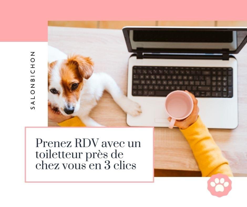 BichonSalon's tweet photo. Un rdv avec un toiletteur pour votre chien ou votre chat ✂️🐶🐱✂️? Venez sur : https://t.co/CvYl3Ny2dk afin de prendre RDV en 3 clics avec un toiletteur proche de chez vous #rdvenligne #salonbichon #animaldecompagnie #chien #chat #toilettage #toiletteur https://t.co/wA3pnYMuu1