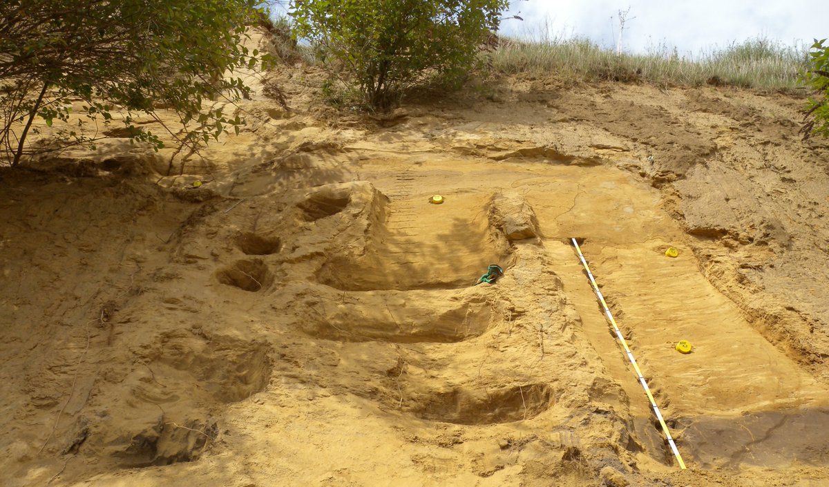 SFB806_CRC806's tweet photo. #ThrowbackTuesday: 7 yrs ago L. Krauß and J. Zens took luminescence and oriented samples to date the loess at Romont, Belgium. Check out the beautiful features & why OSL sampling can be problematic even in loess #TeamLoess #CRC_D1. See final paper at https://t.co/BChrFaAFyr https://t.co/bfme9vKrKF