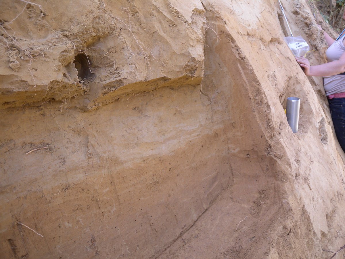 SFB806_CRC806's tweet photo. #ThrowbackTuesday: 7 yrs ago L. Krauß and J. Zens took luminescence and oriented samples to date the loess at Romont, Belgium. Check out the beautiful features & why OSL sampling can be problematic even in loess #TeamLoess #CRC_D1. See final paper at https://t.co/BChrFaAFyr https://t.co/bfme9vKrKF