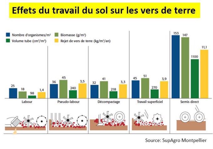ArnaudGrosbois's tweet photo. @genefutures @CarolineFaraldo @Alter_Pesticide C’est le travail du sol le principal danger pour les vers de terre https://t.co/VIpiMrfNgq