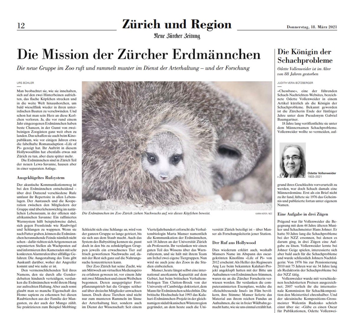 NCCR Evolving Language tweet media